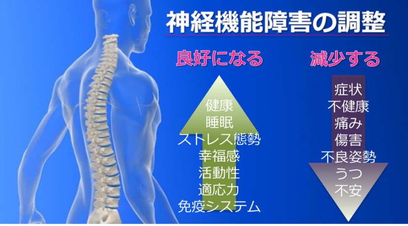 神経の機能障害を調整する事で、身体の健康を回復しましょう